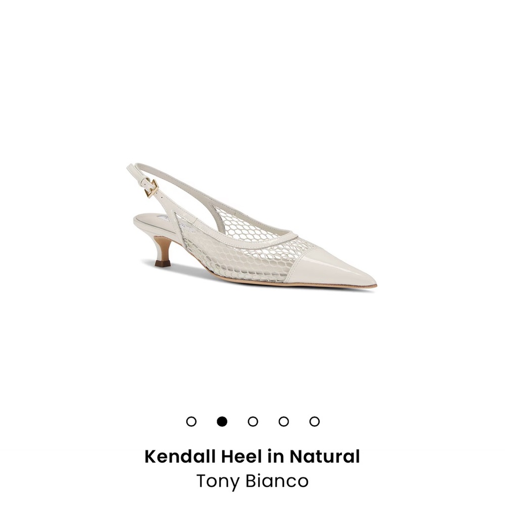 Tony Bianco Kendall Heel